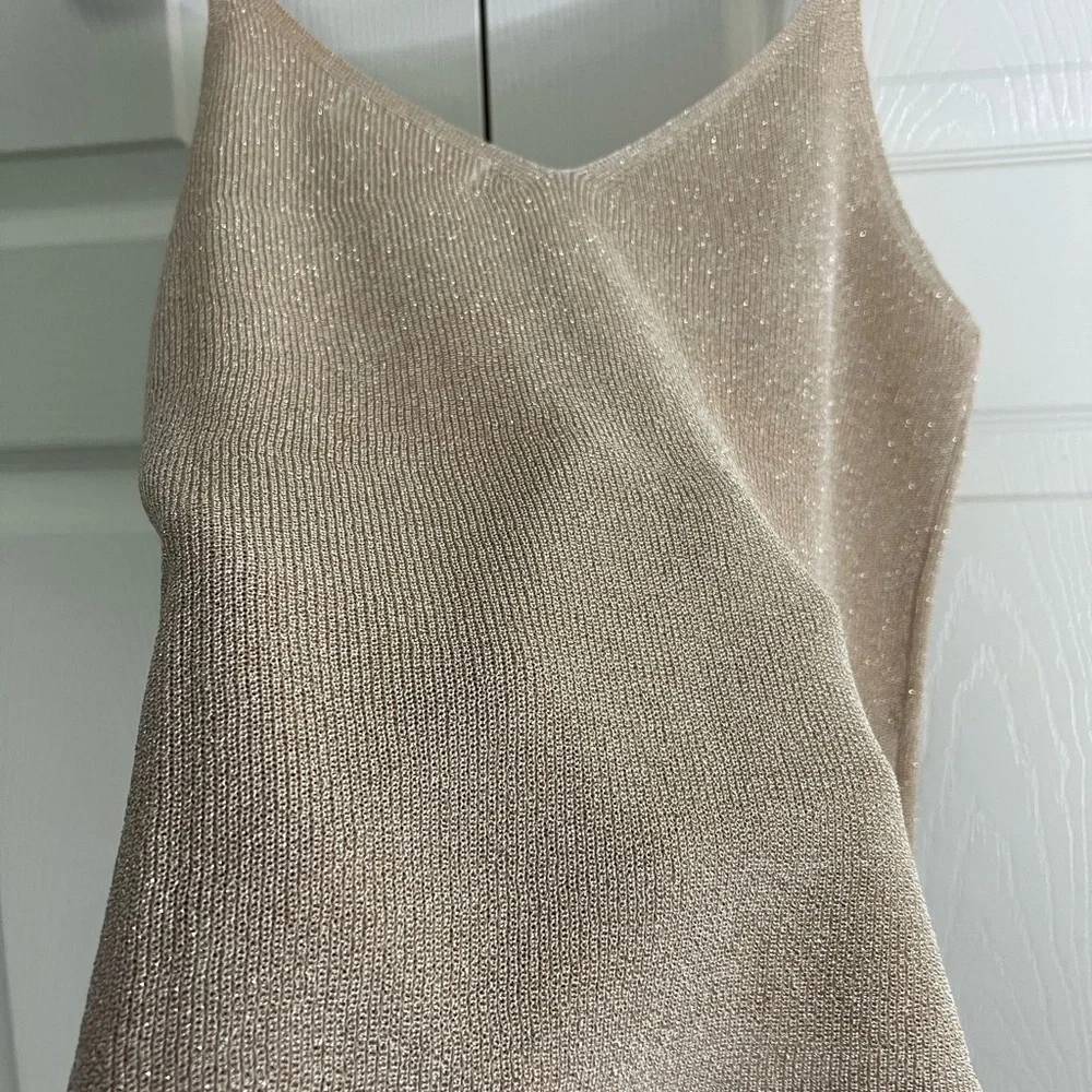 Elegant Shimmery Tan Knit Women's Top - Picture 4 of 5